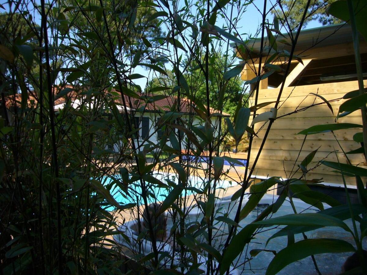 House With Heated Pool And Jacuzzi Villa Soorts-Hossegor Eksteriør bilde