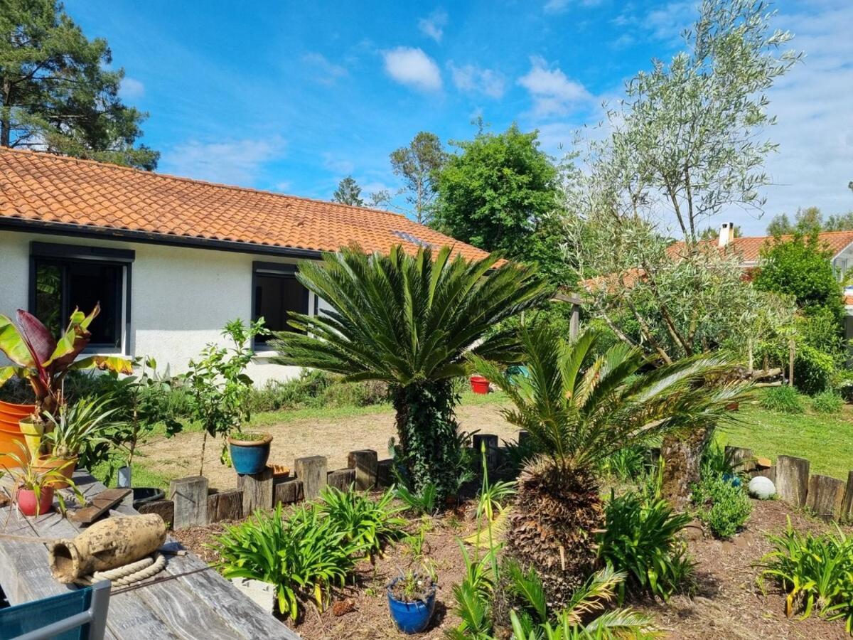House With Heated Pool And Jacuzzi Villa Soorts-Hossegor Eksteriør bilde